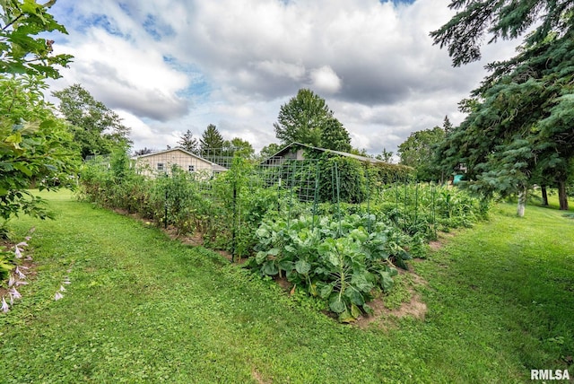 13260 64th Ave, Blue Grass, IA 52726 - photo 40
