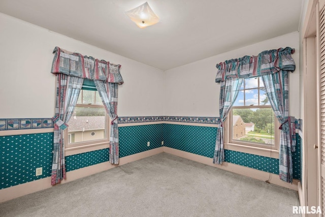 1305 6th St, Orion, IL 61273 - photo 26