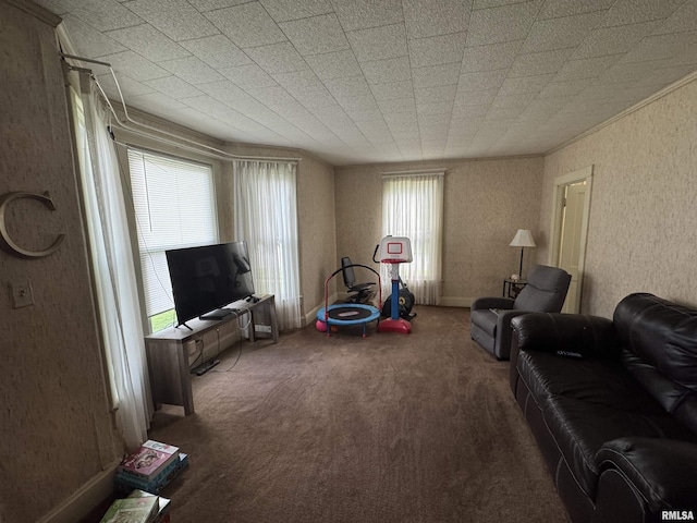 501 E Chestnut St, Geneseo, IL 61254 - photo 11