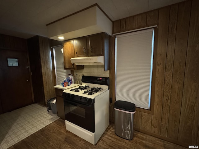 501 E Chestnut St, Geneseo, IL 61254 - photo 13