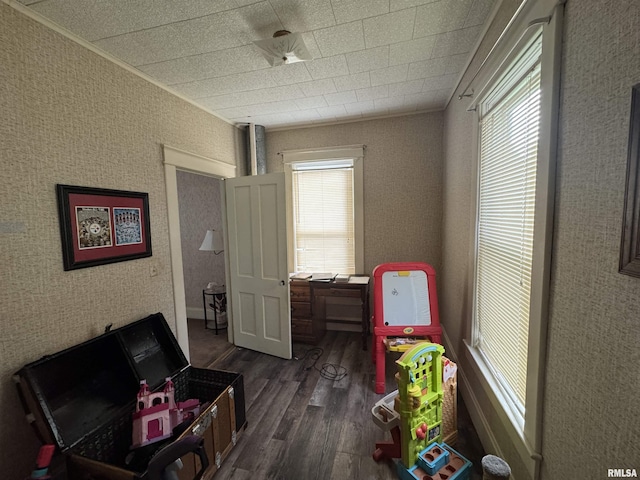 501 E Chestnut St, Geneseo, IL 61254 - photo 18
