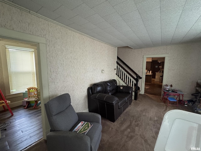 501 E Chestnut St, Geneseo, IL 61254 - photo 10