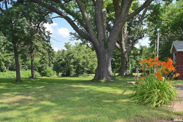 9927 Rte 150, Coal Valley, IL 61240 - photo 12
