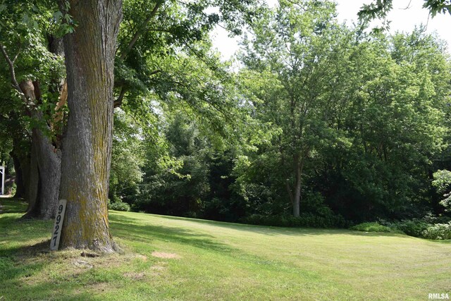 9927 Rte 150, Coal Valley, IL 61240 - photo 15