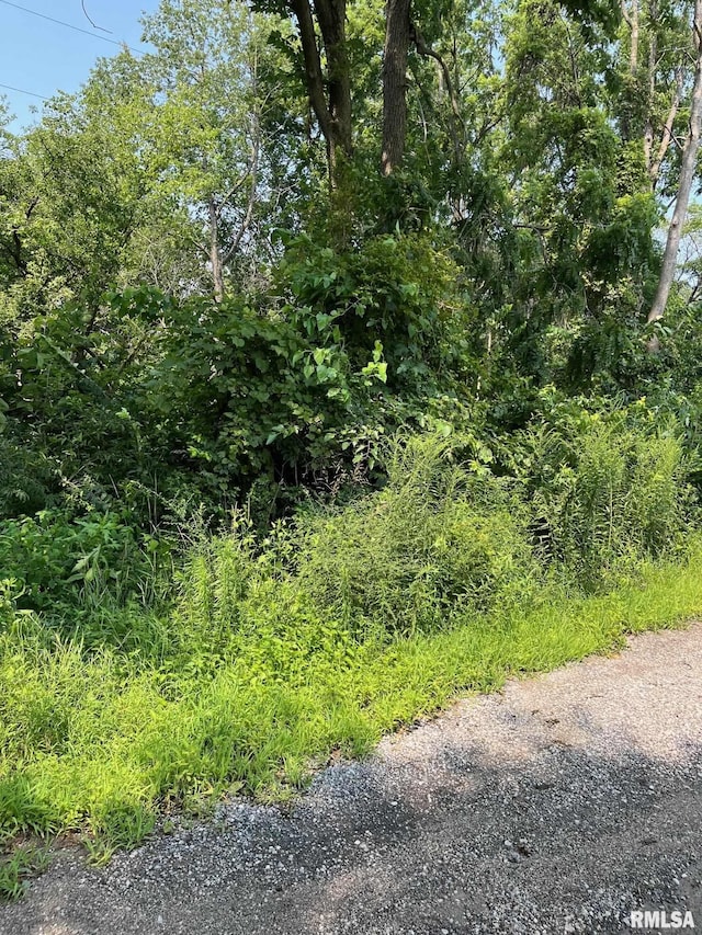 1926 River Vista Rd, Muscatine, IA 52761 - photo 1