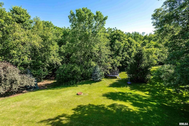 401 N 8th St, Le Claire, IA 52753 - photo 14
