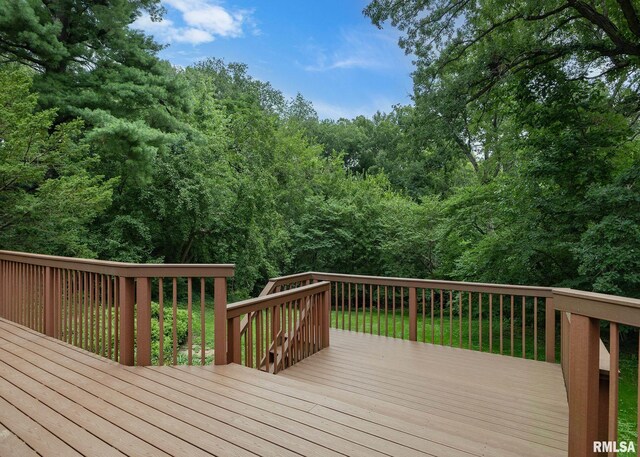 5317 36th Avenue Ct, Moline, IL 61265 - photo 31