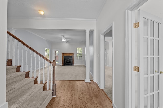 203 Bainbridge Dr, Evans, GA 30809 - photo 5