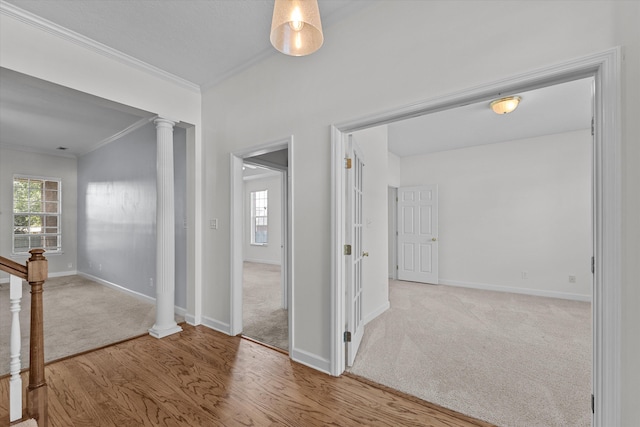 203 Bainbridge Dr, Evans, GA 30809 - photo 6