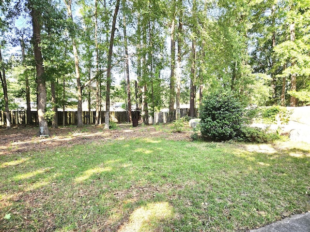 4614 Stoneridge Ct, Evans, GA 30809 - view of yard