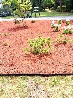 4614 Stoneridge Ct, Evans, GA 30809 - view of yard