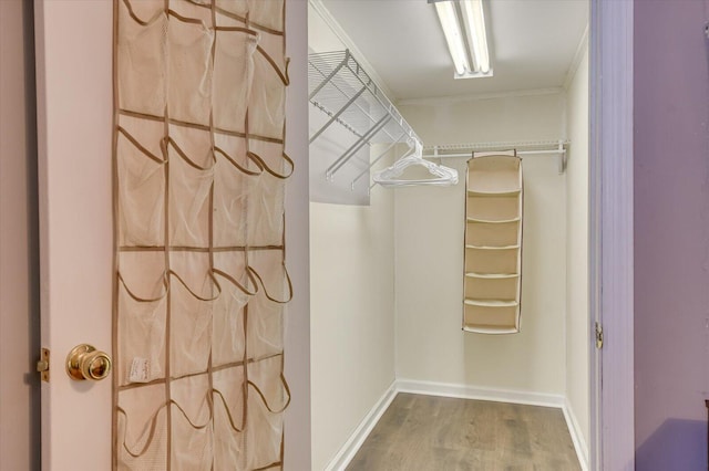 spacious closet featuring wood finished floors