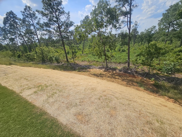 1034 Tess St, Graniteville, SC 29829 - photo 64