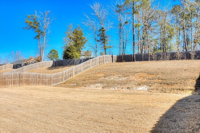 610 Turtle Crk Ln, Harlem, GA 30814 - view of fenced backyard