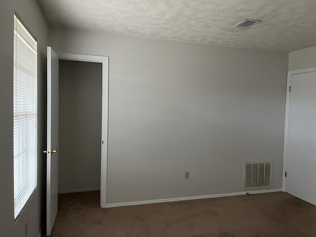 carpeted empty room featuring a textured ceiling and a wealth of natural light