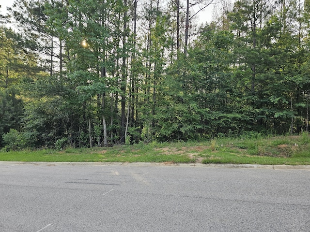 Listing photo 2 for LOTM-16 Cavalry Run, North Augusta SC 29860