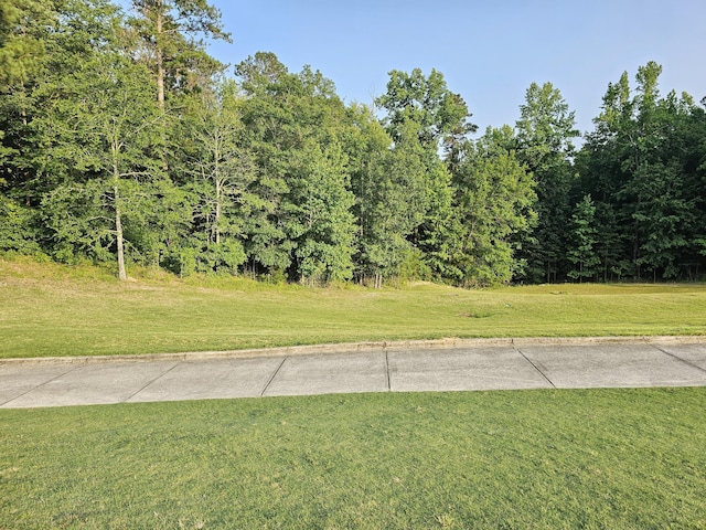 Listing photo 3 for LOTM-16 Cavalry Run, North Augusta SC 29860