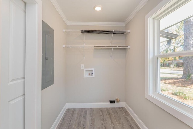 washroom featuring washer hookup, a healthy amount of sunlight, crown molding, wood-type flooring, and electric panel