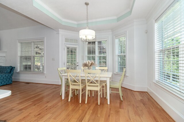 dining room with a chandelier, a healthy amount of sunlight, and light wood-style flooring