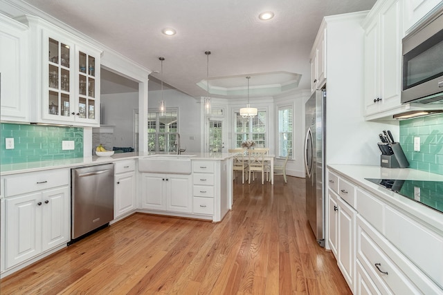 kitchen featuring light countertops, a raised ceiling, a sink, light wood finished floors, and stainless steel appliances