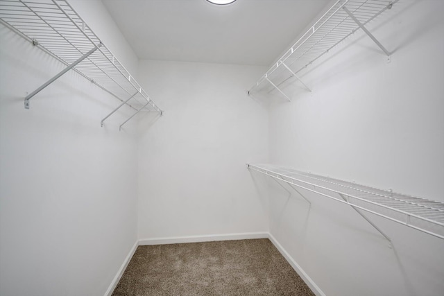 1178 Huntly Cir, Thomson, GA 30824 - spacious closet featuring carpet