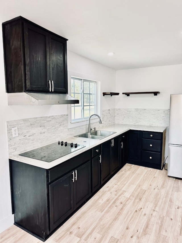 kitchen featuring light wood-type flooring, black electric cooktop, sink, and fridge