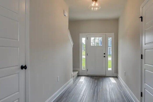 foyer with wood-type flooring