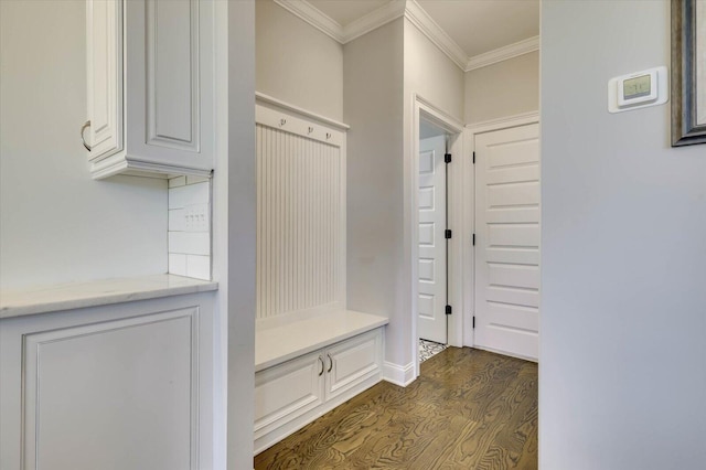 mudroom featuring crown molding and dark hardwood / wood-style floors