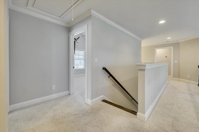 staircase featuring carpet floors and crown molding