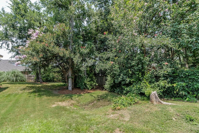 503 Pavilion Ct, Martinez, GA 30907 - view of yard