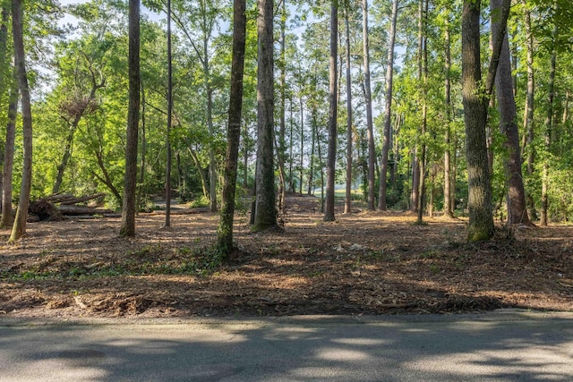 1 Whitemarsh Dr, Aiken, SC 29803 - photo 7