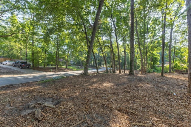 1 Whitemarsh Dr, Aiken, SC 29803 - photo 10