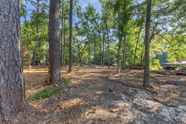 1 Whitemarsh Dr, Aiken, SC 29803 - photo 11