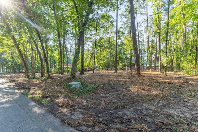 1 Whitemarsh Dr, Aiken, SC 29803 - photo 8