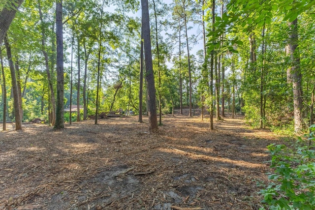 1 Whitemarsh Dr, Aiken, SC 29803 - photo 9