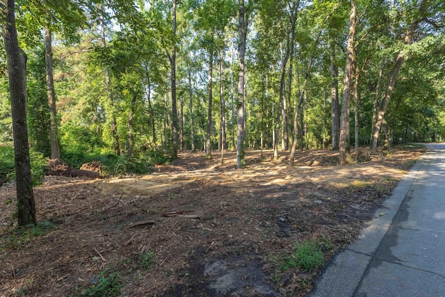 1 Whitemarsh Dr, Aiken, SC 29803 - photo 5