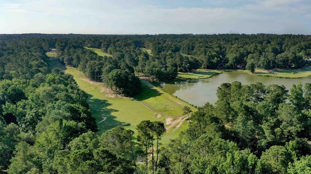1 Whitemarsh Dr, Aiken, SC 29803 - photo 1