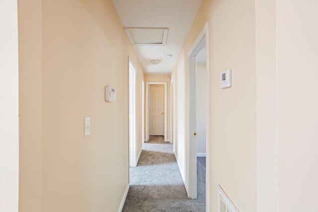 hallway featuring light carpet