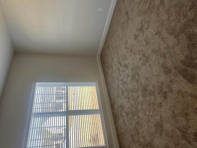 unfurnished bedroom featuring light carpet and a closet