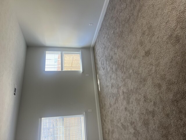 spacious closet featuring carpet flooring