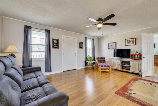 living room with a textured ceiling, light wood-style flooring, and crown molding