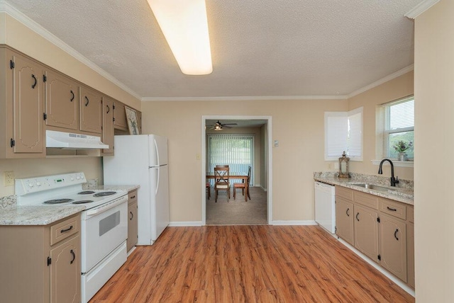 kitchen featuring sink, light hardwood / wood-style flooring, crown molding, a textured ceiling, and white appliances