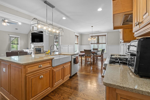 910 Ellis Ln, Evans, GA 30809 - kitchen featuring a sink, stainless steel dishwasher, a fireplace, light stone countertops, and wainscoting