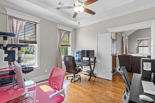 910 Ellis Ln, Evans, GA 30809 - office featuring ceiling fan, wood finished floors, ornamental molding, a tray ceiling, and baseboards