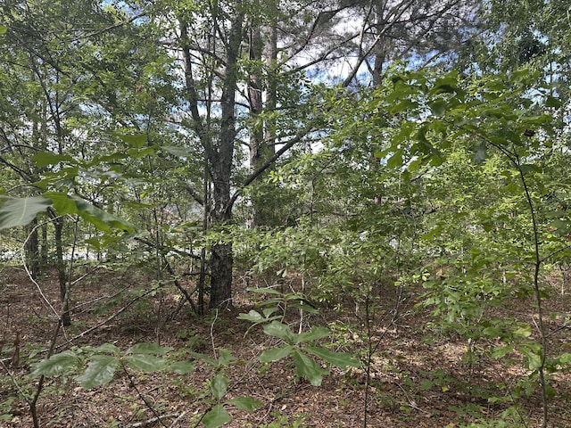 1328 Oakridge Plantation Rd, Hephzibah, GA 30815