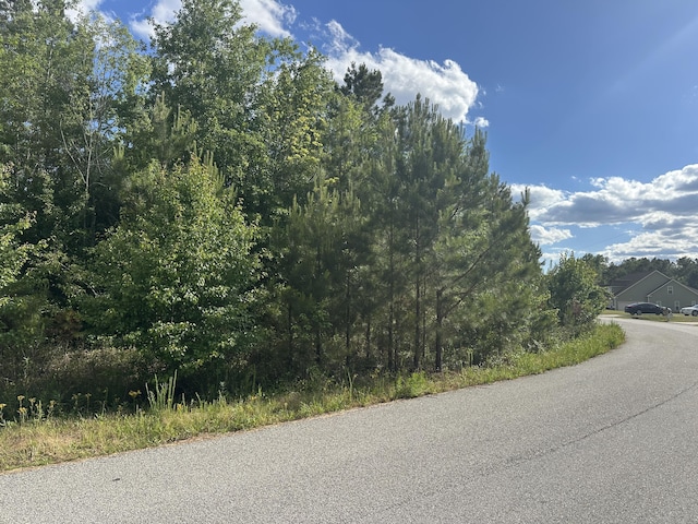 1328 Oakridge Plantation Rd, Hephzibah, GA 30815