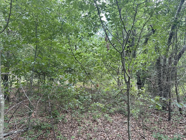 1328 Oakridge Plantation Rd, Hephzibah, GA 30815