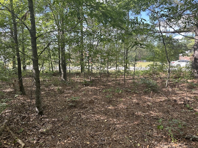 1328 Oakridge Plantation Rd, Hephzibah, GA 30815