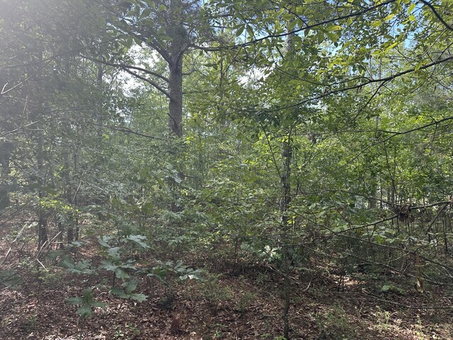 1328 Oakridge Plantation Rd, Hephzibah, GA 30815