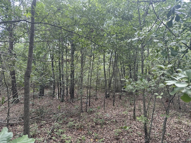 1328 Oakridge Plantation Rd, Hephzibah, GA 30815